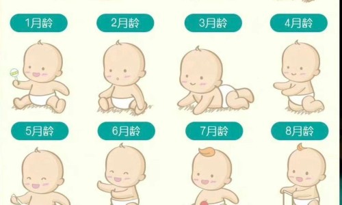 天津格林国际幼儿园学费-虎牙银豆的作用与功效网月经期喝冰的会怎样知识网站,分享人体结构几何体速写大全