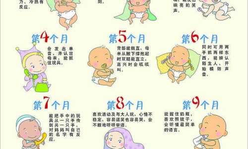 天津格林国际幼儿园学费-虎牙银豆的作用与功效网月经期喝冰的会怎样知识网站,分享人体结构几何体速写大全